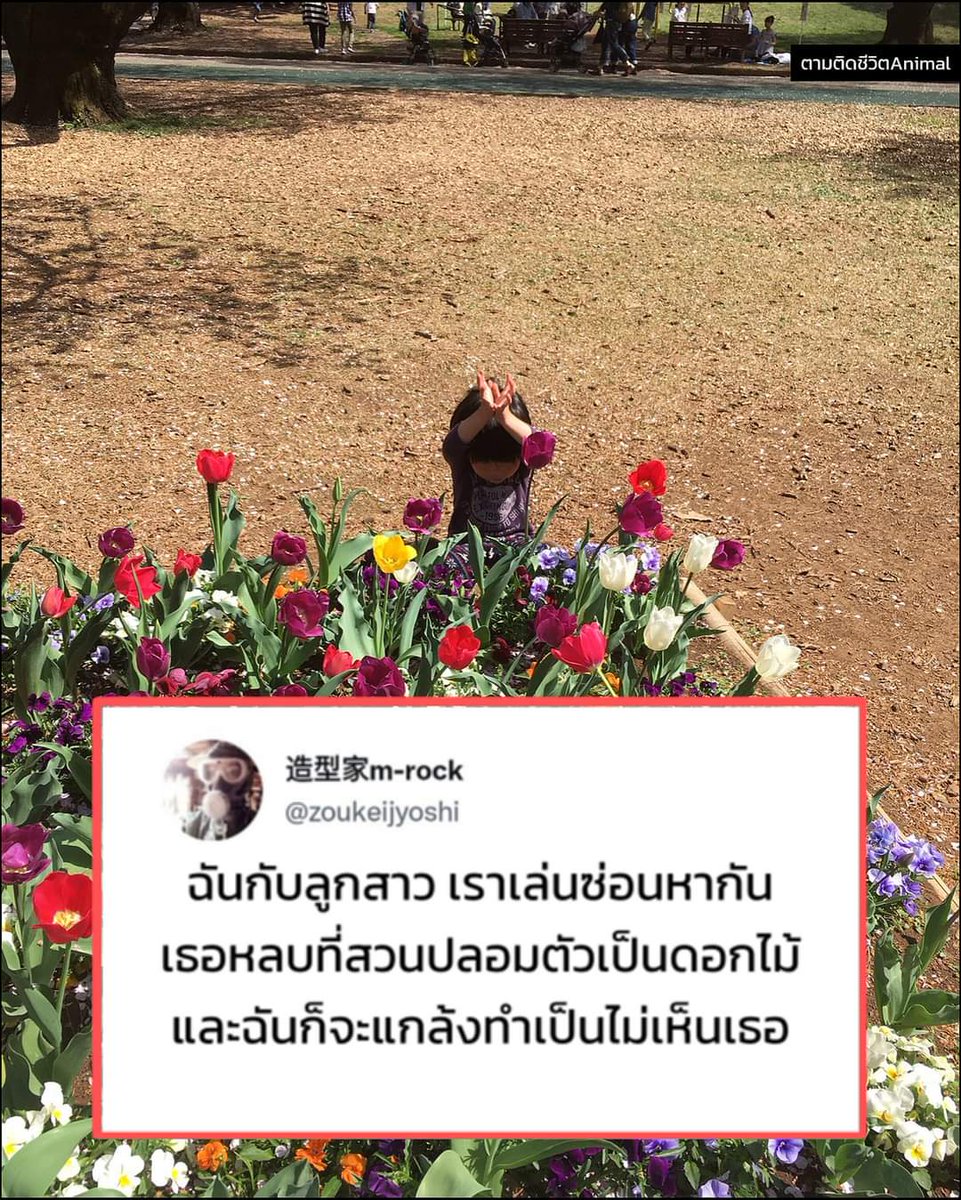 ไปเห็นอันนี้มา น่ารักมาก ;-;