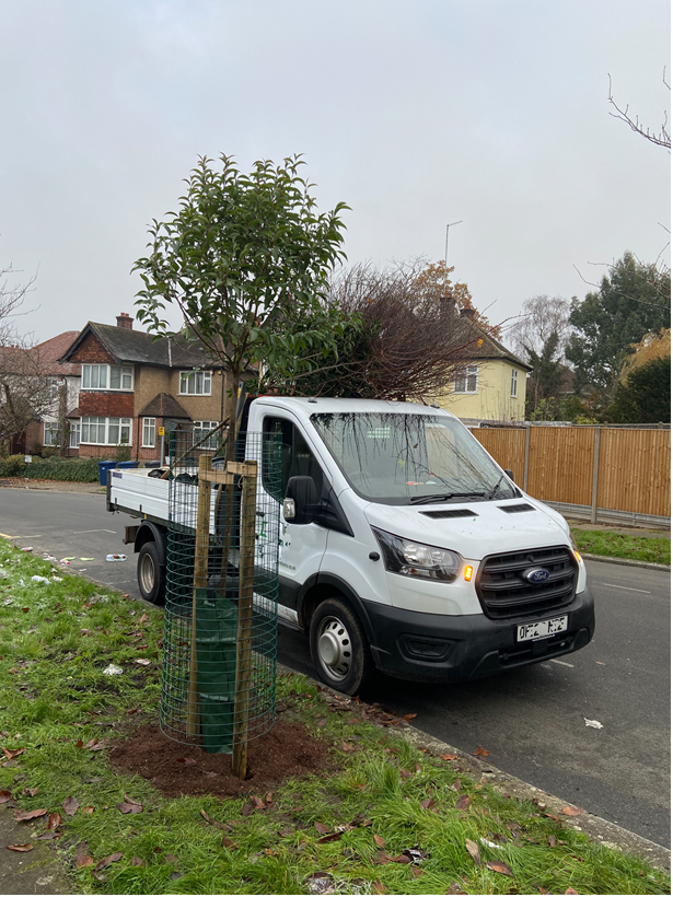 TreesforStreets's tweet photo. Street tree planting season in full swing.

We’re excited to see this years’ sponsored trees have already started being planted. We’re getting daily messages from excited sponsors delighted with these new arrivals.

Interested in greening up your street?
https://t.co/XnVelvEfIy https://t.co/N9wY0XRrcT