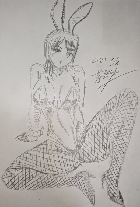 実家で暇なのでバニーガールを描くマン。褐色肌だと脳内補完してください

#バニーガール 