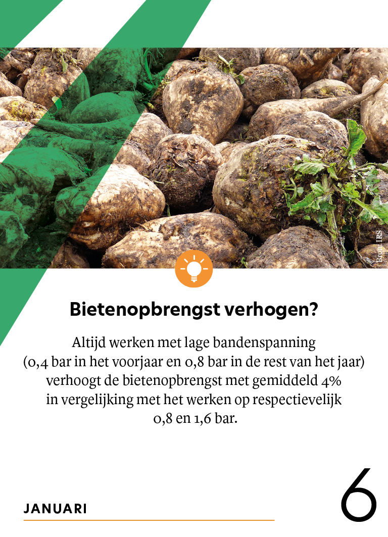 Vandaag staat de @BodemSK2023 in het teken van #bandenspanning en #suikerbieten opbrengst. In het bericht op onze website kunt u lezen waarom de juiste bandenspanning belangrijk is voor uw #akker en de bietenteelt: irs.nl/interessegebie…
<a href="/boakkerbouw/">BO Akkerbouw</a> <a href="/WUR/">Wageningen U&R</a> <a href="/DAW_NL/">DAW</a> <a href="/IRS_Andre/">André van Valen</a>