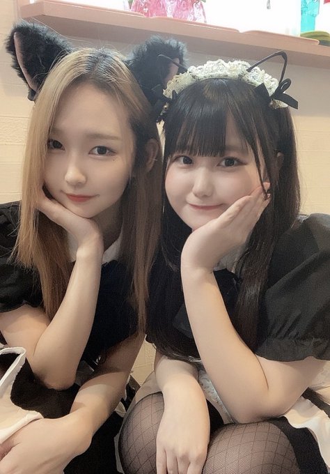 Twitterで画像を見る