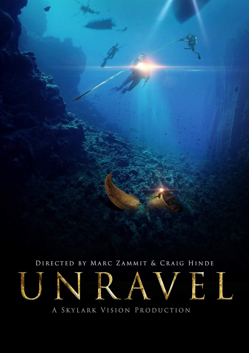 SKYLARK VISION tweet media