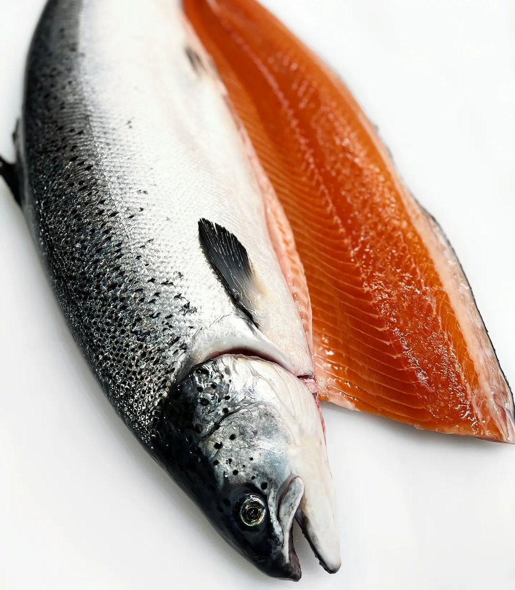 A fine example of our freshly prepared Salmon Fillets 🔥 ... these are proving to be very popular as we kick-start 2023 and we can see why!

This one has been descaled and pin boned, but we recommend having it skinned, trimmed or portioned too 🔪