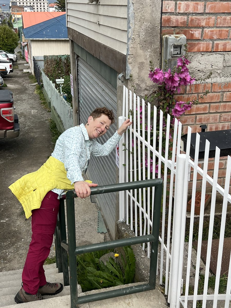 Rosyhardy62's tweet photo. Cottage garden Patagonia style and a blast from the past Lavatera rosea with a dandelion just for good measure @RobHardyPlants @DandelionAppre1 @hardyplants #gardensoftheworld #Travel #Colourblocks #Chile #fun #fridaymorning https://t.co/6SFQl31ueu