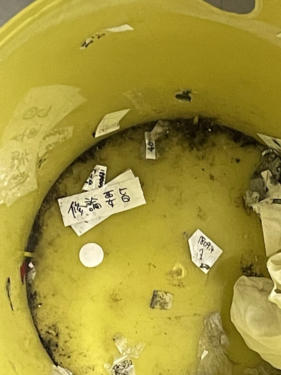 ずっと前からゴミ箱の底に張り付いてて、何度も視界に入ってたけど気づかなかった。
この時期になると嫌でも気づいてしまう。