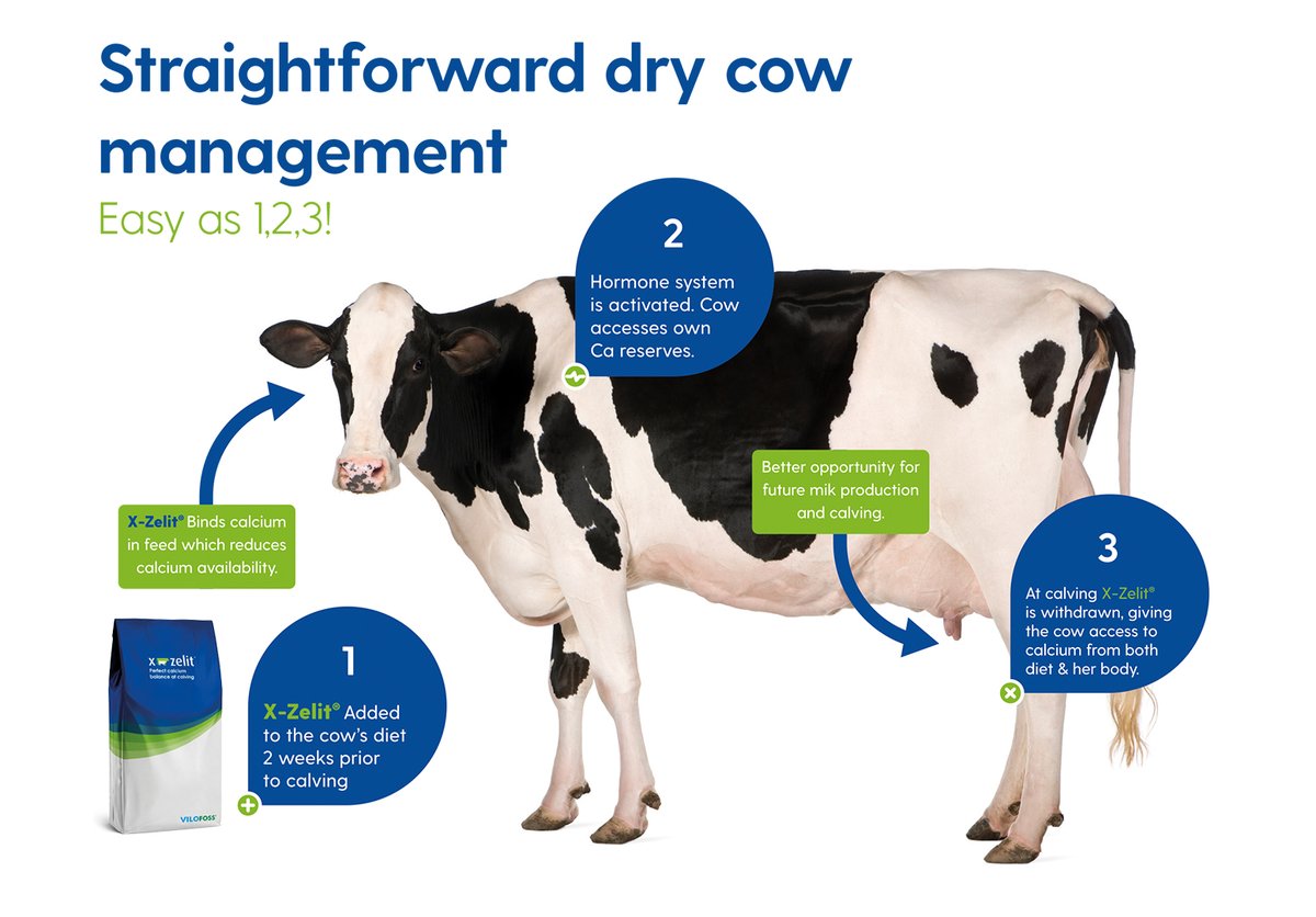 A lot of our customers tell us how easy and effective X-Zelit is for their #drycows - its just an area you don't have to worry about. Find out more at here:

x-zelit.co.uk/what-is-x-zeli…
 #uncomplicatedexcellence  #easydrycowmanagement