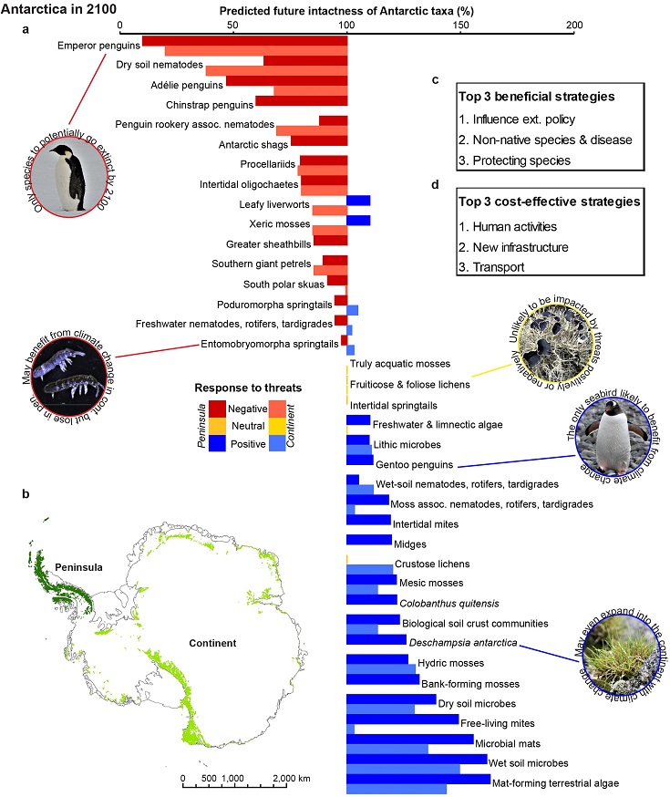 #ICYMI: #Antarctic terrestrial #biodiversity is at risk. @JaszzyJas @Iadinec &co show that existing #conservation efforts are insufficient; simultaneous global & regional efforts are urgently needed to save #Antarctica for future generations #PLOSBiology plos.io/3WkTS6j