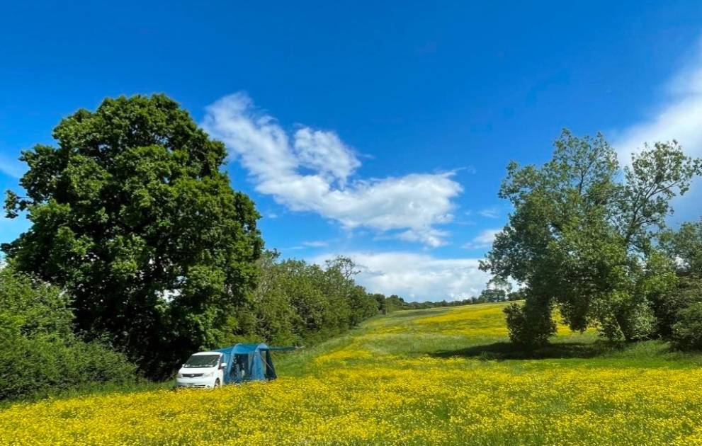 BorrowmyGarden's tweet photo. #NewListingAlert #Bucks 

This huge meadow, set in 150 acres, has spectacular views &amp; sunsets to compliment #OutsideEvents

A large barn enables you to reconnect with nature in all weathers too!

For a while range of possibilities, read on..

https://t.co/lGPK3N14Qz https://t.co/L84Z1cw4nV