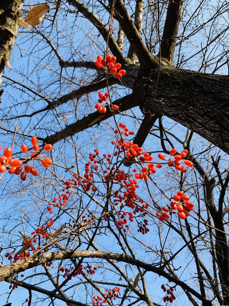 우리삶은
특별한 시간들보다
평범한 시간들이 더 많습니다

은행에서 순번표를
뽑아 기다리고

식당에서 음식 나오길
또 기다리고

지하철에서 시간을
보내고

친구에게서 연락이
오면 문자를 보내고…

결국,이 평범한
시간들이 행복해야
내가 행복한 것입니다

/혜민 스님