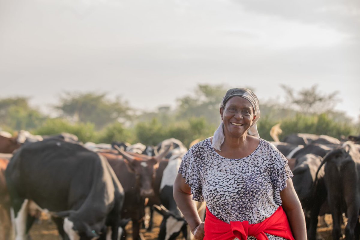 Heifer_Uganda's tweet photo. Women are the backbone of a family &amp; the bedrock of a nation. They must be involved in addressing the world's most difficult challenges: hunger &amp;poverty! @Heifer_Uganda empowers women to engage in agribusinesses for econ independence &amp; to contribute to hunger &amp;poverty eradication https://t.co/q5sI06IwNH