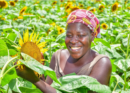 Heifer_Uganda's tweet photo. Women are the backbone of a family &amp; the bedrock of a nation. They must be involved in addressing the world's most difficult challenges: hunger &amp;poverty! @Heifer_Uganda empowers women to engage in agribusinesses for econ independence &amp; to contribute to hunger &amp;poverty eradication https://t.co/q5sI06IwNH