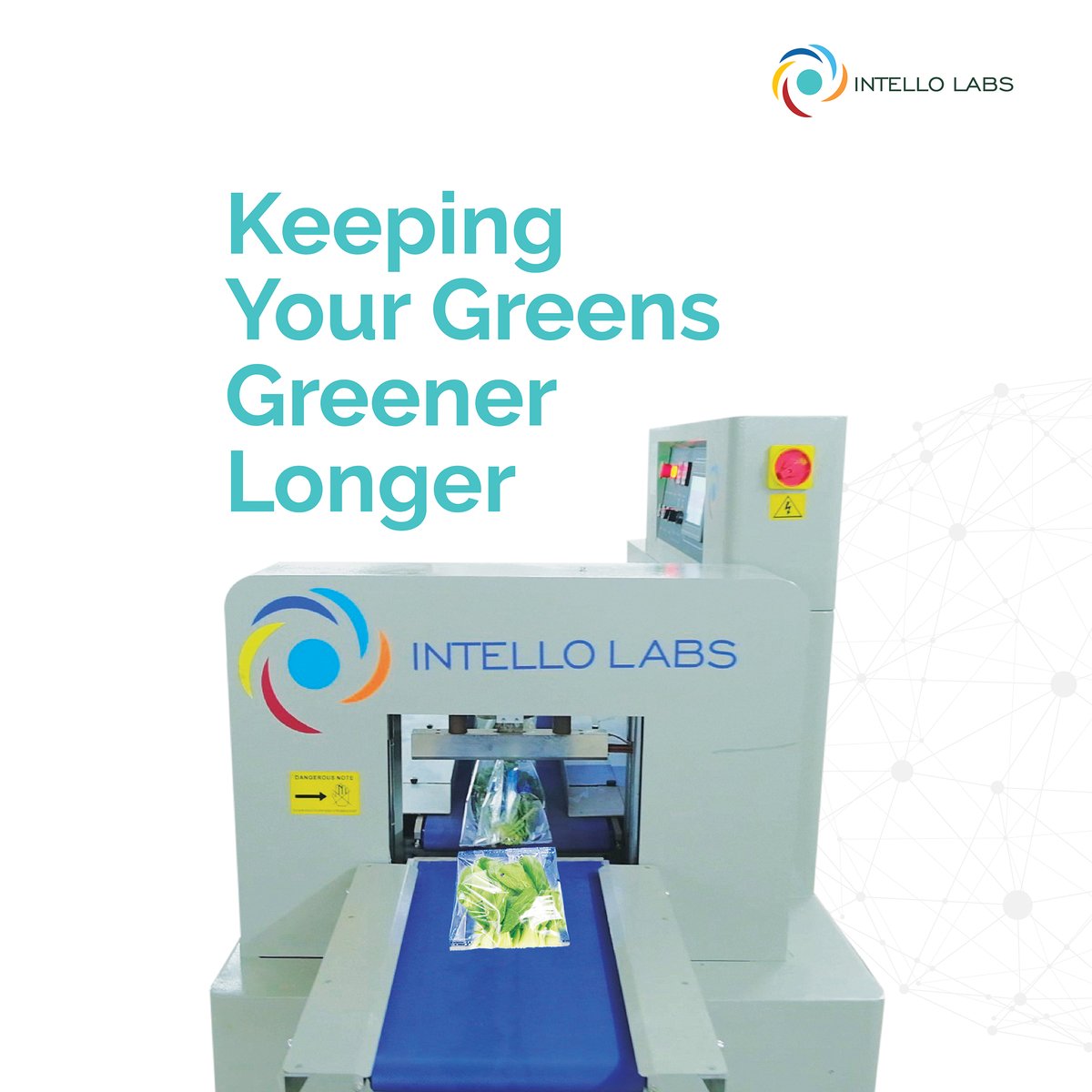 Intello Labs tweet media