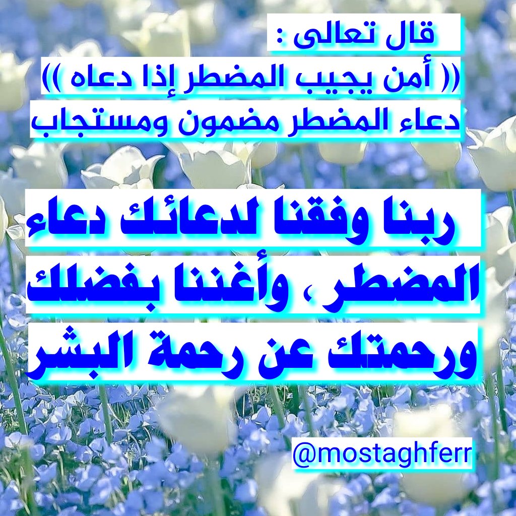 مستغفر بالأسحار tweet media