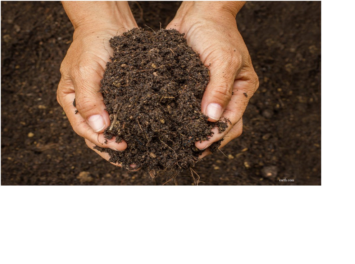 ItPrevent's tweet photo. #resistance gene will spread from soils to animals, and plants, posing substantial risks to humans 😐
Here is a study that maps soil #antibiotics resistant gene and their responses to environmental constraints at the global scale. To know more go through  https://t.co/OEacZG334G https://t.co/Y7f2bWjcvq