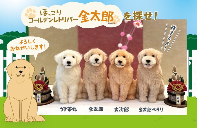 最新最全の ほっこり ゴールデンレトリバー ぬいぐるみ うす茶丸