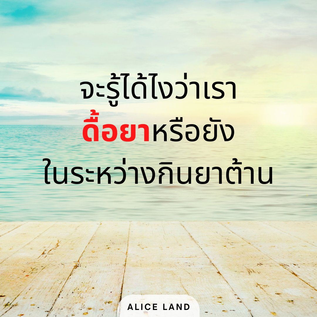 Alice_Land tweet media
