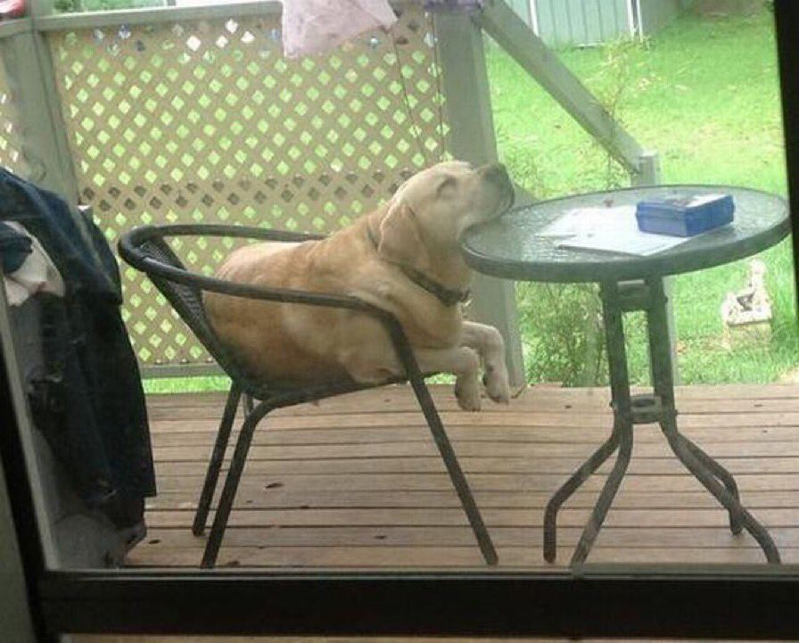 chrismen67's tweet photo. VENDREDI MATIN #Moude 😞🥱 https://t.co/QLmc2HkUd0