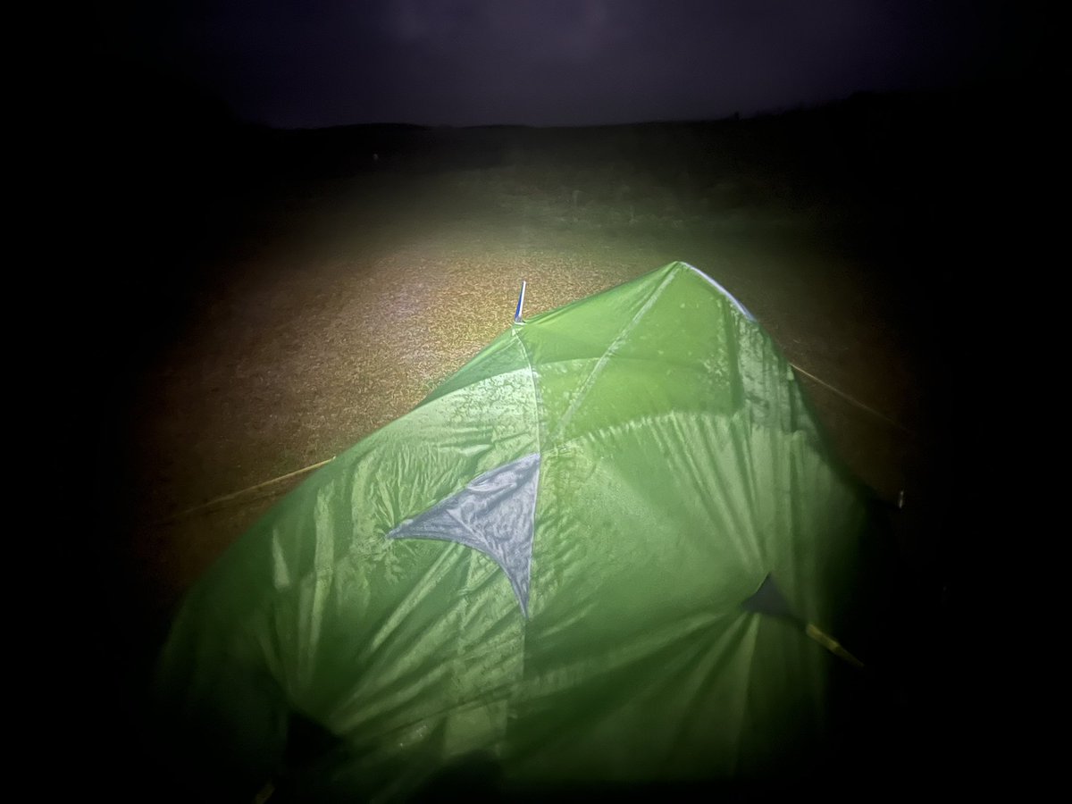 Nick Ray tweet media