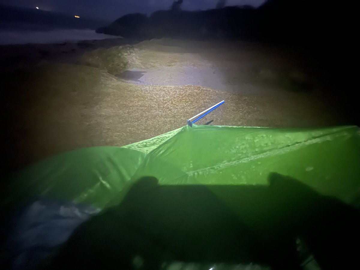 Nick Ray tweet media