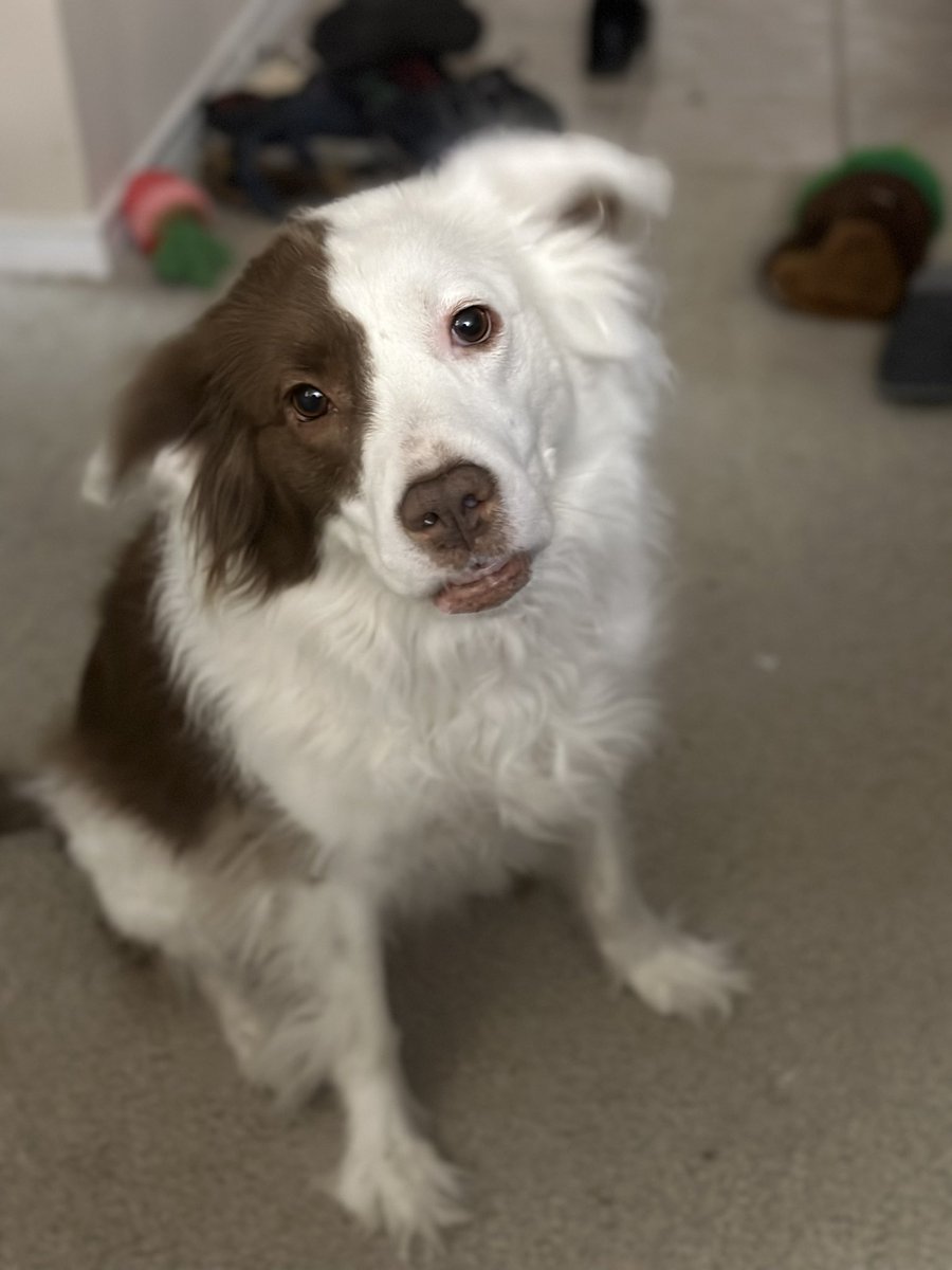 First photo taken on my new iPhone 14 Pro Max ☺️😍 already FaceTimed with my mom and sister yay 💕also ignore my messy floor I know I need to vacuum ugh 🫠