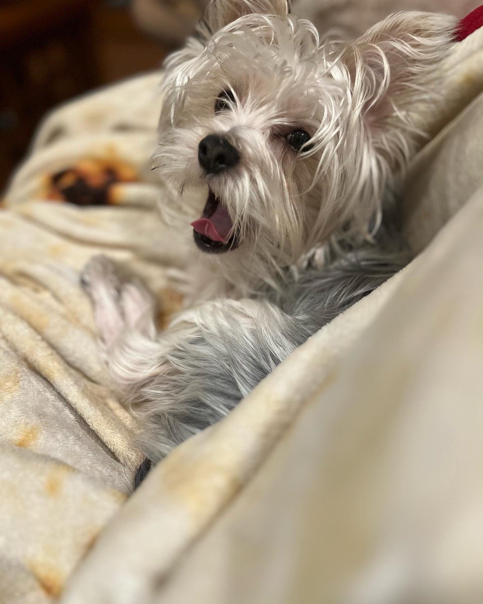 _mslexi's tweet photo. @jammerusa https://t.co/PLg2u72fbZ