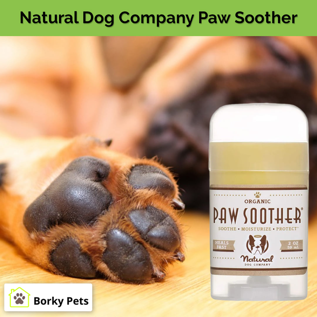 borkypets's tweet photo. This unique paw soother is made with natural, organic ingredients that help repair damage from salt, snow, heat, cold, and sand, incorporating chapped pads, dryness, and roughness.

Buy Natural Dog Company Paw Soother 👉 https://t.co/ah2aOgQptp

#borkypets #dogfood  #dogdandler https://t.co/HUHPd0wdjV
