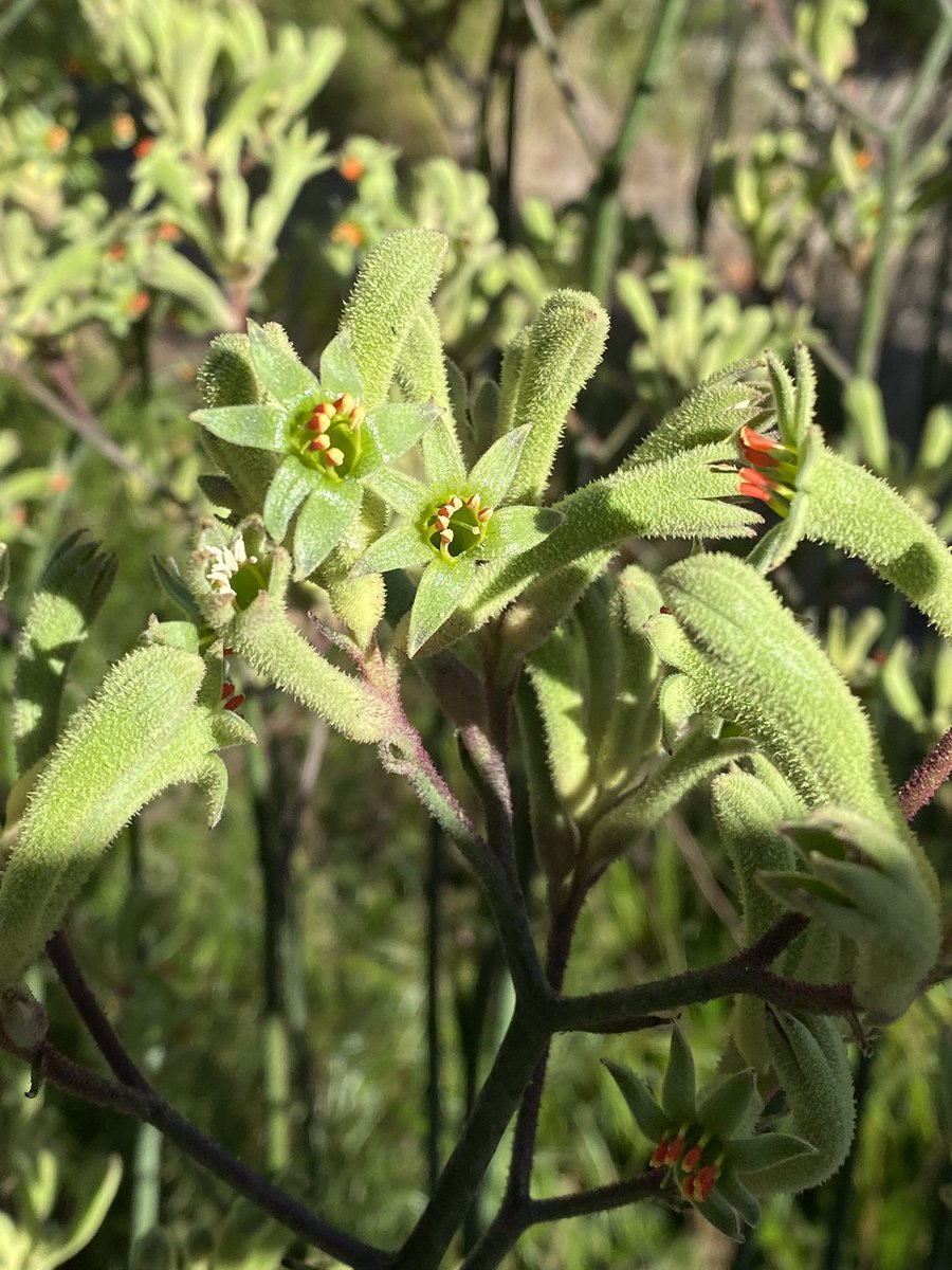 Paul Ramsland tweet media