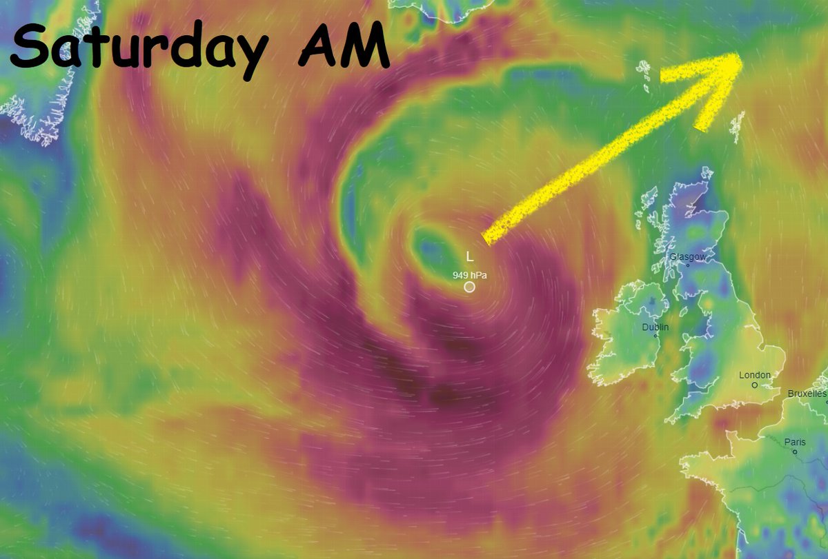 WindyWilson88 tweet picture