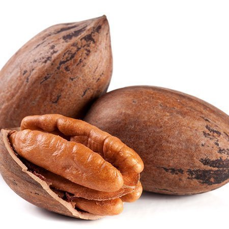 Tsogang3's tweet photo. Let me let you in a secret. Plant pecan trees!! Don't ask why: Just do it! You will thank me later. https://t.co/m84lWkOdmv