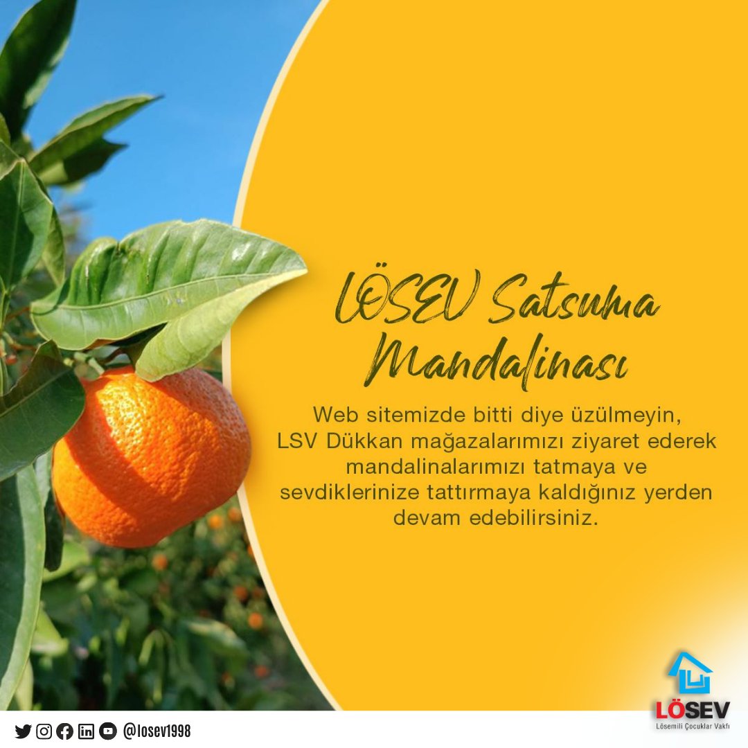Yolu iyilikle kesişen müşterilerimize anlayış ve sabrı için teşekkürler. İlaçsız tarımla yetişen mandalinalarımızın raf ömrünün kısa olması sebebiyle tarafınıza kusurlu ulaştıysa lütfen bildiriniz😊
📞312 447 06 60
Ulaştı ama tadına doyamadım diyorsanız👇 lsvdukkan.com/nerede