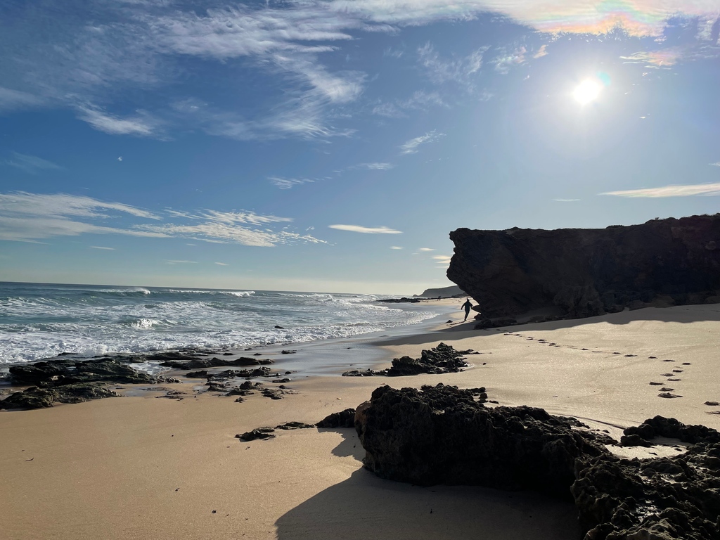 EcolSocAus's tweet photo. “To get to the other side (before the tide!)” by April Timmis (shortlisted in the #OutStandingInTheField category, 2022 ESA #PhotoCompetition)⁠

"Collecting flight initiation distances (FIDs) along the South Australian coastline [...]" 

#EcologyInAction #NaturePhotography https://t.co/W7XRWJb4eX
