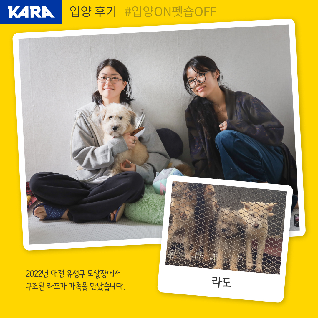 ekara_org's tweet photo. 대전 도살장에서 구조된 라도의 입양을 축하해 주세요!

라도 입양후기 > https://t.co/5G3IhKjbUl https://t.co/oG2Tw7cArf