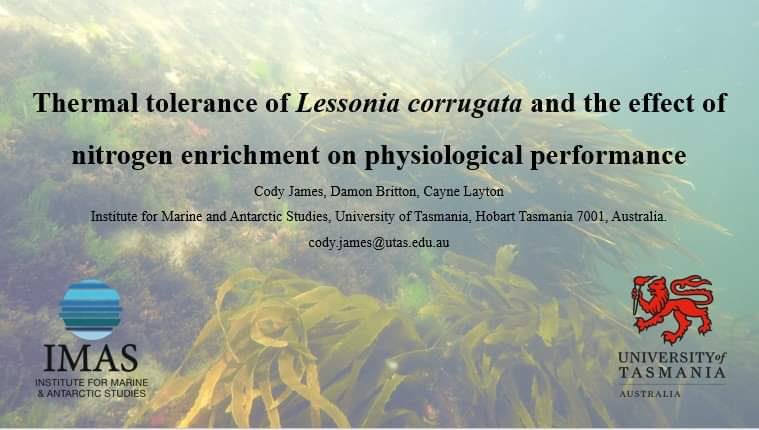Cody_James2312's tweet image. Excited to be presenting my research at the upcoming #ITRS2023 shedding some light on the understudied endemic Tasmanian kelp Lessonia corrugata #ITRS #IMAS #UTAS