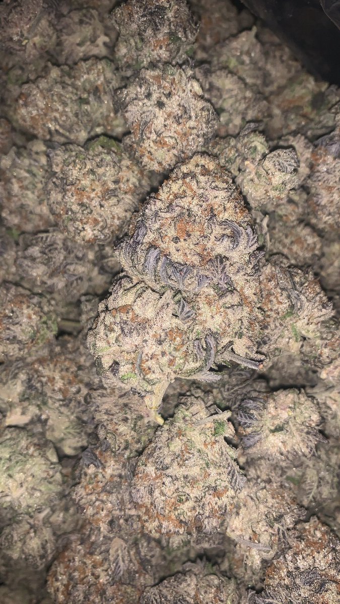 HyTingz's tweet photo. #houstonplug https://t.co/KRVMbnhJIS