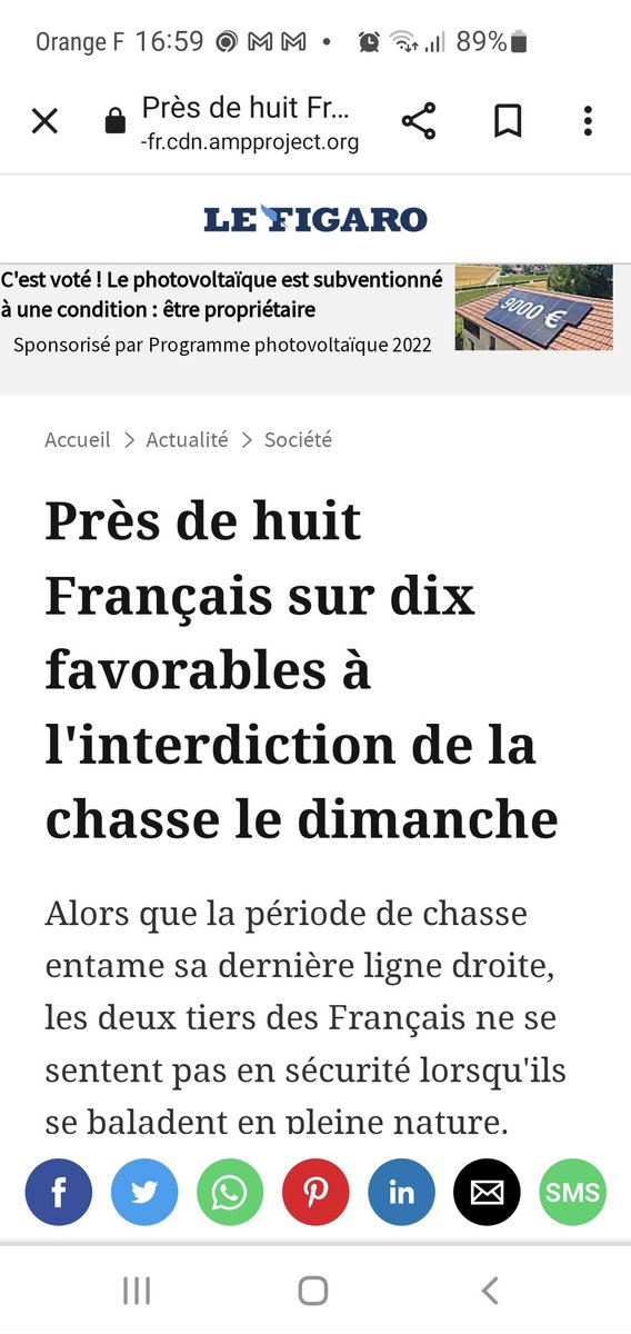 PalaEksa Boloulours tweet media