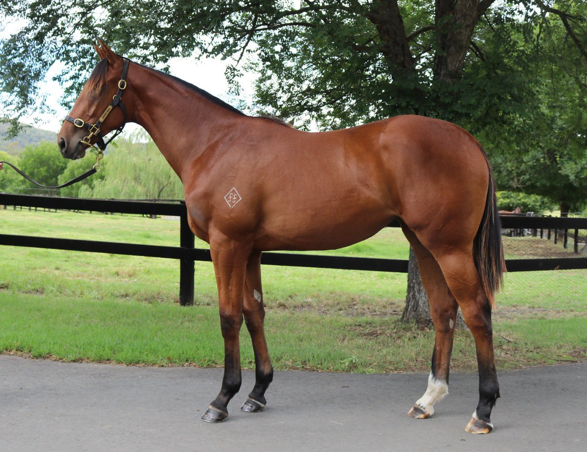 Fairhill Farm tweet media