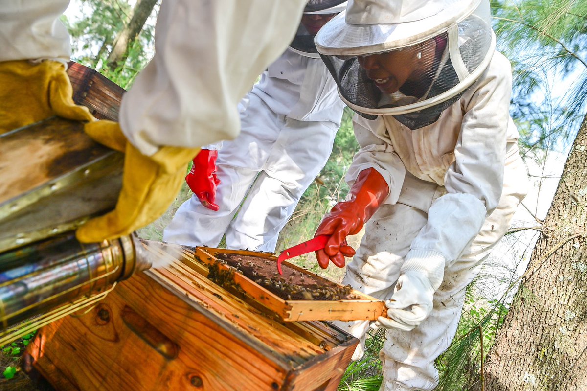 Channel Africa (@channelafrica1) on Twitter photo Live | We chat with <a href="/molokomabela/">Mokgadi Moloko Mabela</a> about her organic honey business, <a href="/NativeNosi/">Native Nosi</a>, selling honey, wax and other byproducts.
Tune in: DSTV 802 | OpenView 628
Stream: πbit.ly/36efN89
#OntheMove #ChannelAfrica #SABCNews Live | We chat with <a href="/molokomabela/">Mokgadi Moloko Mabela</a> about her organic honey business, <a href="/NativeNosi/">Native Nosi</a>, selling honey, wax and other byproducts.
Tune in: DSTV 802 | OpenView 628
Stream: πbit.ly/36efN89
#OntheMove #ChannelAfrica #SABCNews