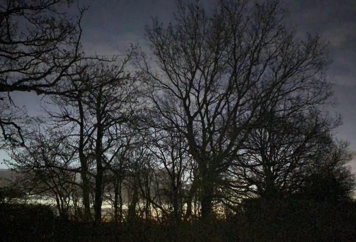 Noeleen Murrin tweet media