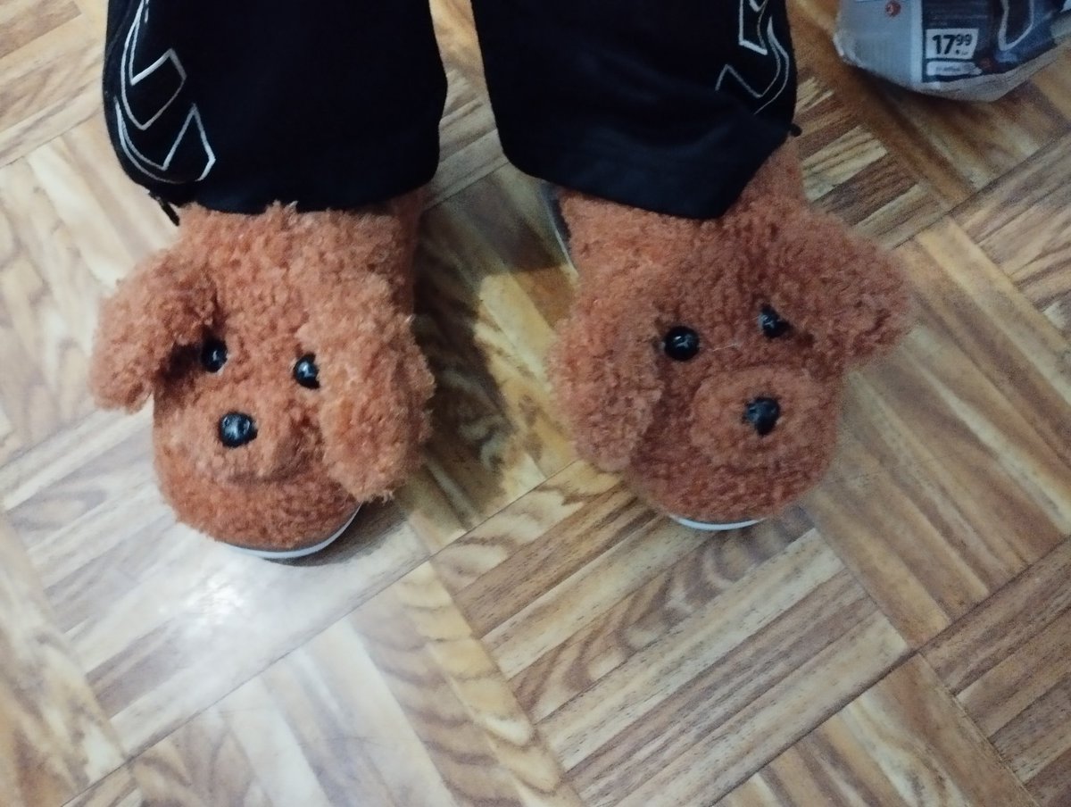 PaulaLilloM's tweet photo. Los reyes magos de la casa de mi novio me han traído zapatillas de andar por casa con la cara de mi perrita porque cuando estoy allí: 1) ando descalza y 2) echo mucho de menos a mi Sodita

El mejor regalo? Yo digo sí https://t.co/ygwuibiEaI