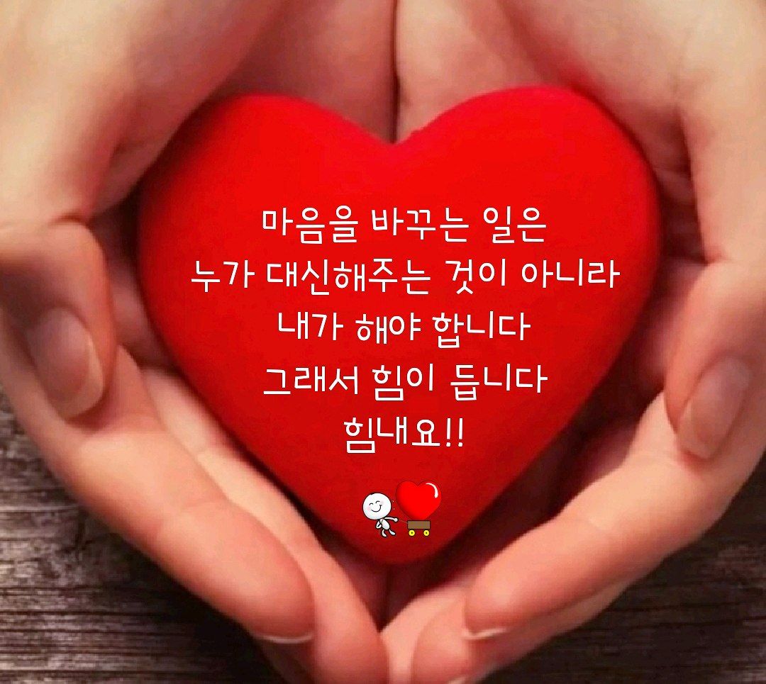 해화 (@zxas39) on Twitter photo 