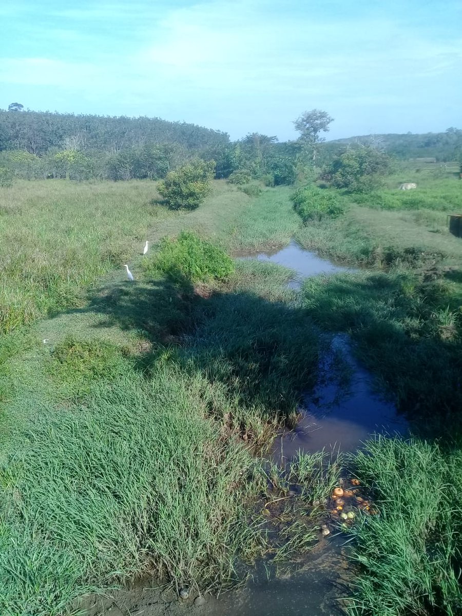 Geethani_R's tweet photo. #NatureBeauty https://t.co/QZCrQj779C