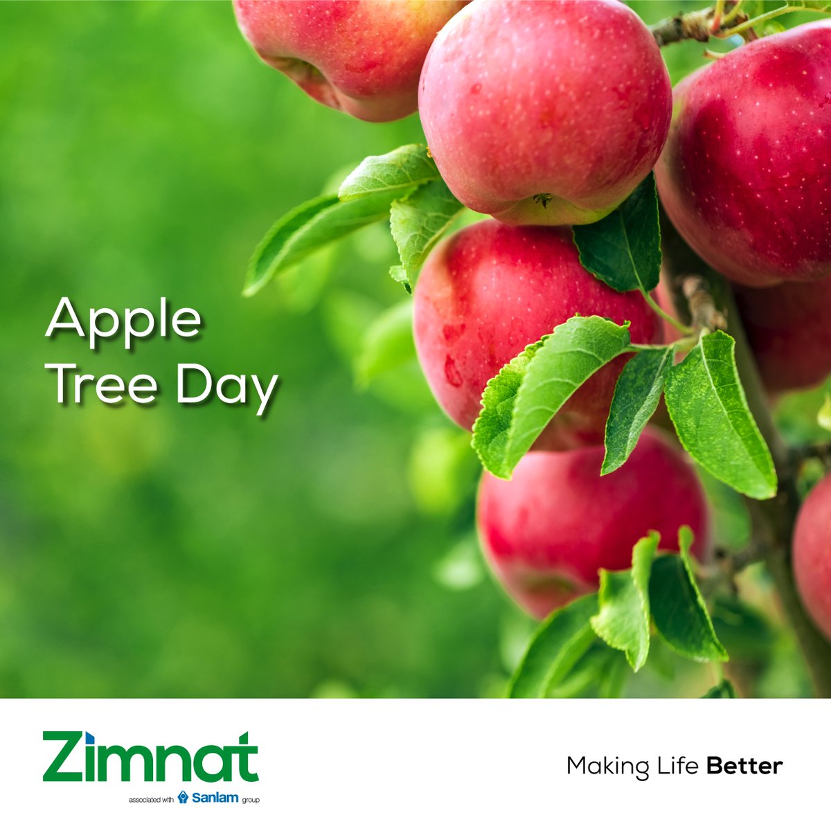 ZimnatOfficial's tweet image. An apple a day keeps the doctor away.

It's #AppleTreeDay! Why not give your favourite person an apple today?

Share with us some interesting benefits found in apples.

#MakingLifeBetter
