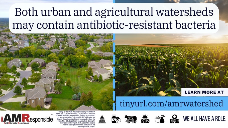 In some studies, #AntibioticResistant bacteria were found in stream water in both urban and agricultural watersheds. 

This demonstrates the importance of #OneHealth based decision-making across #industries and institutions. 

Read: tinyurl.com/amrwatershed

#RwotGain 
#AMR