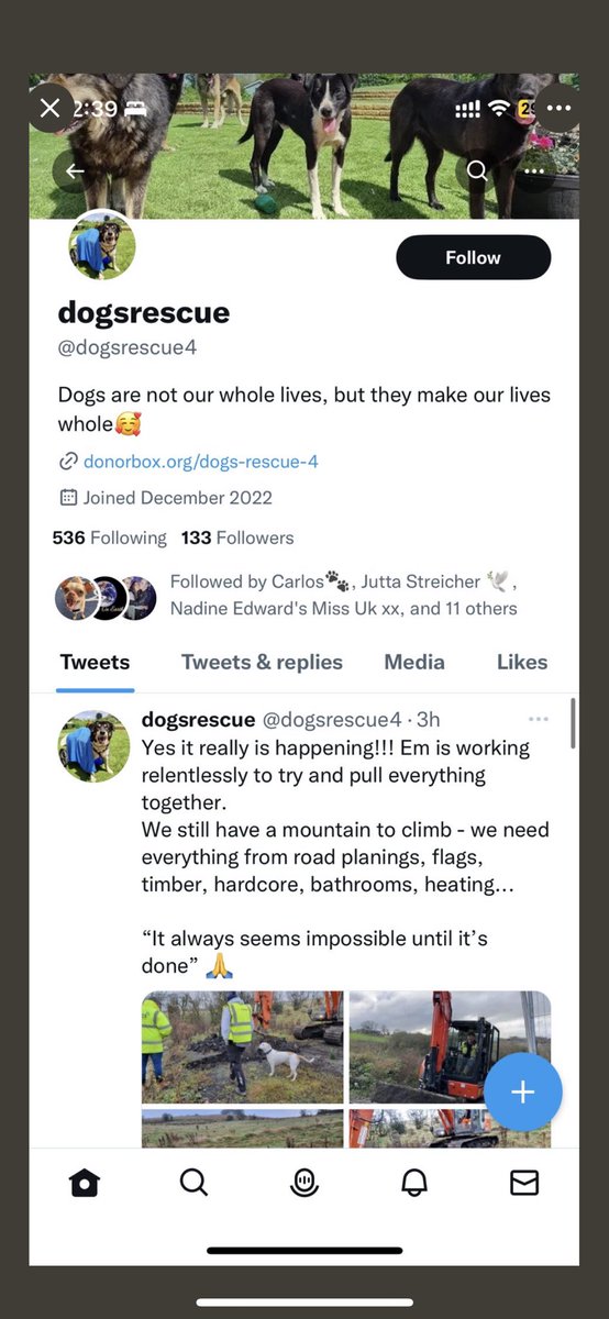 Dogs4Rescue's tweet photo. Twitter our account has been cloned and scammers are asking for money 😡😡They have blocked us so we can’t easily report. PLEASE EVERYONE REPORT @dogsrescue4 as a fake account. Do not let them con well meaning people and steal from the dogs 😡😡 https://t.co/L6tHkbpkt0