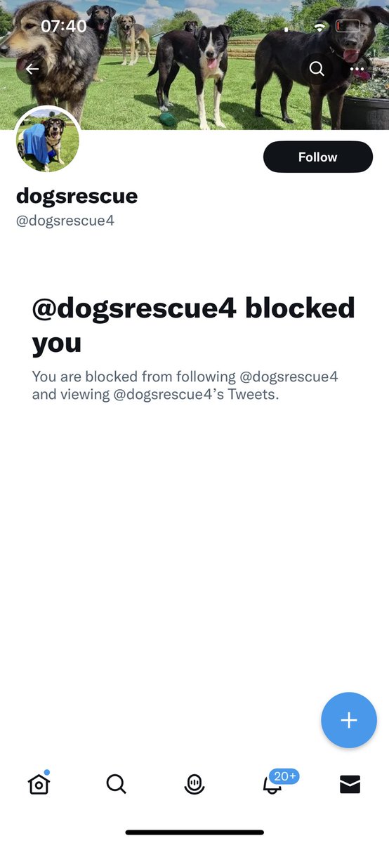 Twitter our account has been cloned and scammers are asking for money 😡😡They have blocked us so we can’t easily report. PLEASE EVERYONE REPORT @dogsrescue4 as a fake account. Do not let them con well meaning people and steal from the dogs 😡😡