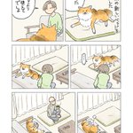 愛犬に犬用の新しいベッドを買ってあげるも･･･!ある犬漫画が話題に!