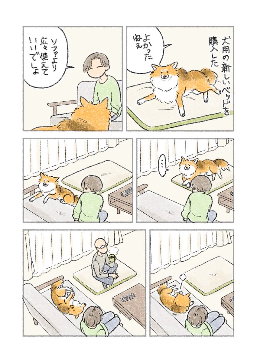愛犬に犬用の新しいベッドを買ってあげるも･･･！ある犬漫画が話題に！