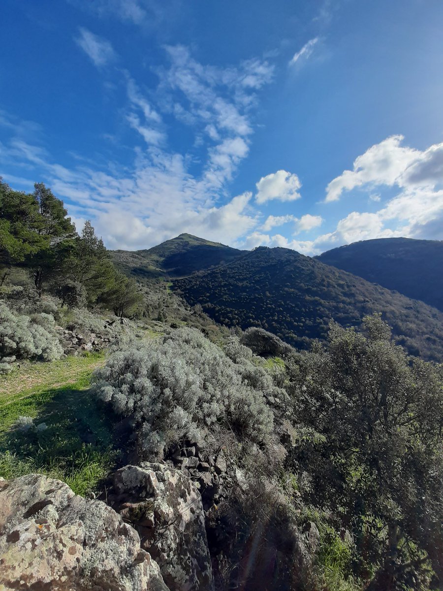 DanielaManchia1's tweet image. Beyond the horizon 💫
#natureguide #natureconnection #shinrinyoku #hikingguide #forestbathing #sardegna