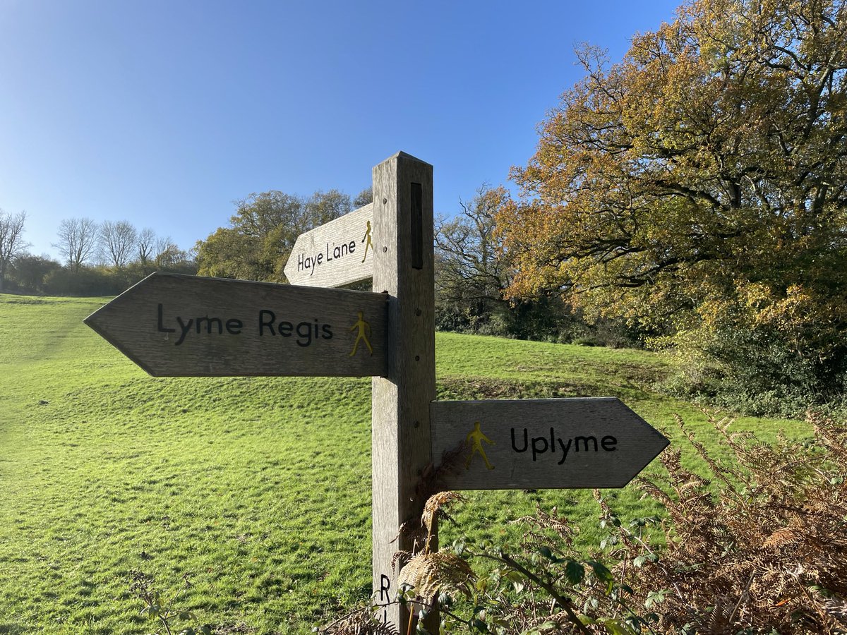 PridgeonB's tweet photo. @FingerpostFri A T-junction at Uplyme in the Autumn … https://t.co/3bwWBXtwB1