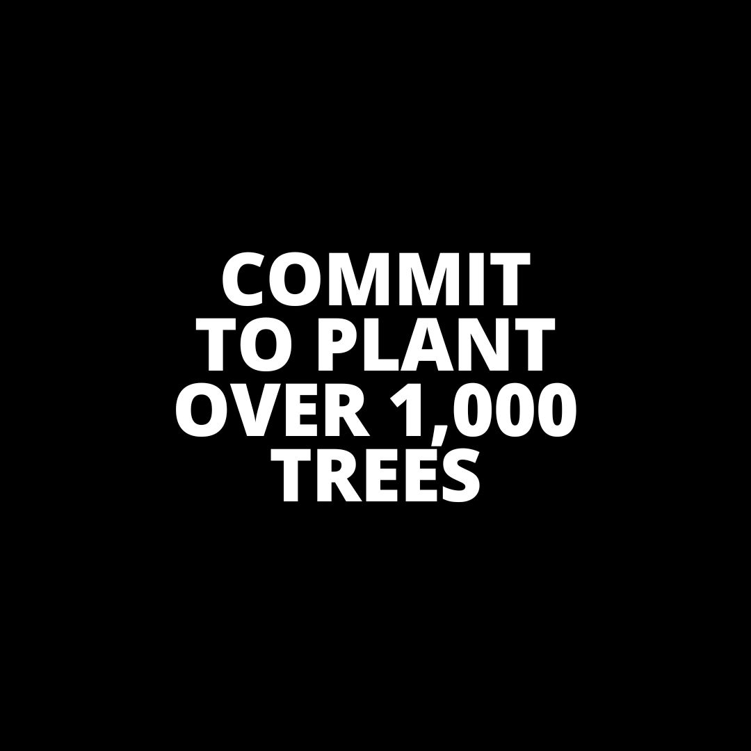 Katapult tweet media